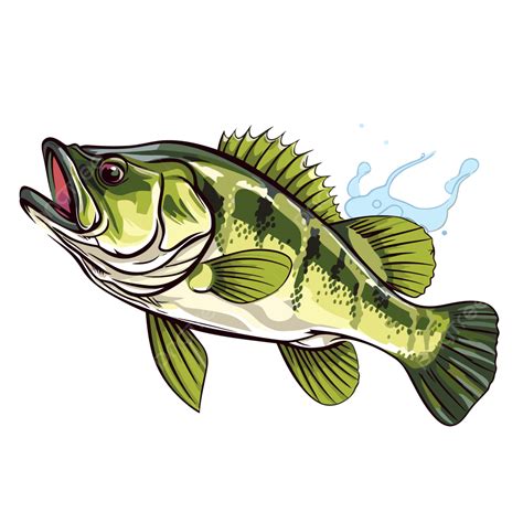 Bass Fishing Vector Art, Icons, and Graphics for Free Download.